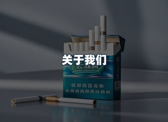 关于我们